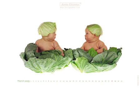 Cabbages - sweet, annegeddes, cabbages, children