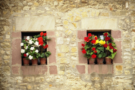 beautiful windows - fullcolours, window, beautiful, flowers, pot