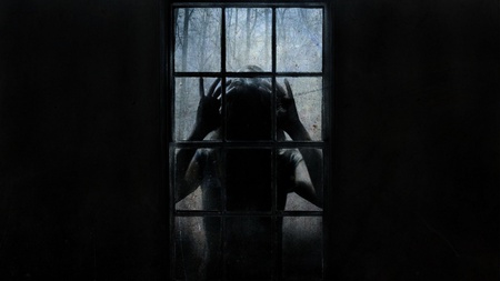 Fear Fills Me With Revulsion - fear, window, horror, night, fright, scared, darkness, scary