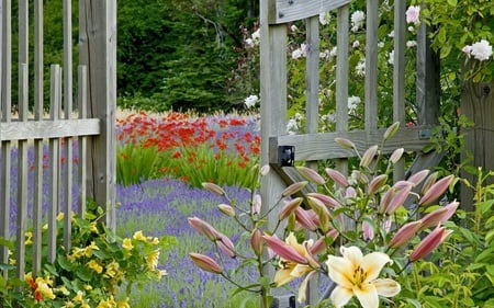 A Door to the Beauty - landscape, forest, colorful, field, flower