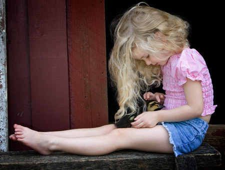 Making A New Friend - duck, girl, pet, friend