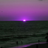 Purple Sunset