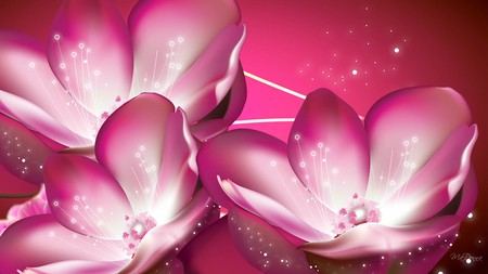 Pink Radiance Flowers - stars, flora, floral, bright pink, flowers, firefox persona, lights, exotic