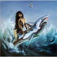 Silver Shark
