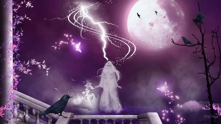 Where Have You Gone - sky, goth, water, ravens, gothic, ghost, full moon, flowers, lightning, firefox persona, butterflies