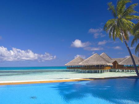 Beach - sky, water, beach, palms, nature