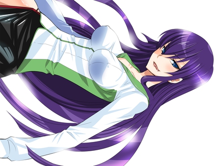 Saeko Busujima - anime, highschool of the dead, girl, saeko busujima