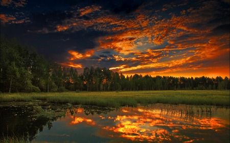 Sunset - pon, flames, other, beauty, gold, colors, nature, sunset, green, lakes, reflections, evening, splendor, landscape, grass, forest, reflection, leaves, fast, burning, view, lake, sky, sun, clouds, trees, water, beautiful, cool, orange, lovely, colorful, dusk, peaceful, shine