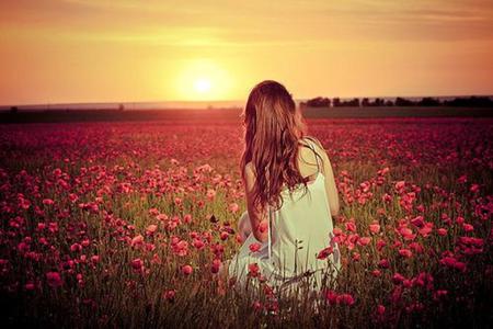 Lonely Heart - woman, roses, girl, sun, sunset, field, rose, nature, romantic, beautiful, flowers