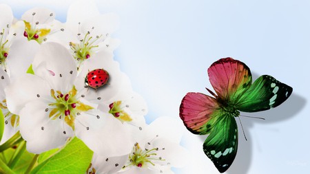 Apple Blossom and Company - sakura, cherry, butterfly, lady bug, spring, firefox persona, apple blossoms