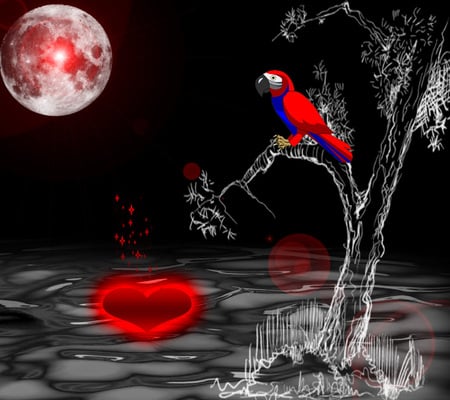 Heart On Waters - moon, love, freedom, darknight, heart, red, water, bird