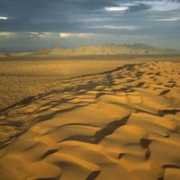 A field of sand