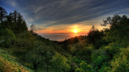 Coastal Sunset - sky, trees, sun, sunset, coast, forest, jungle, beautiful, green