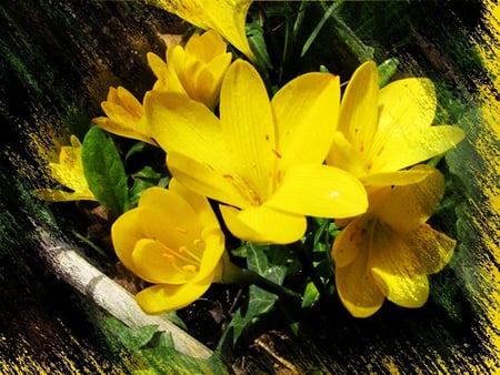 Yellow - leaves, nature, flowers, yellow