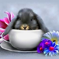 Easter love to DN friends