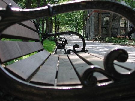 view - nature, park, bench, view