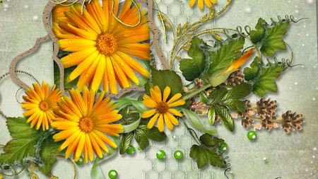 Yellow Daisies and Buds - daisies, greens, flowers, dew, buds, ribbon, daisy, firefox persona