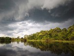 Cloudy Sky