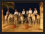 Dubai Sheiks on Arabian Horses