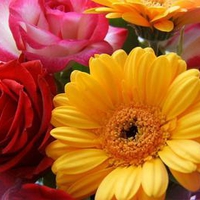 Bouquet-of-roses-and-gerberas-for-Cinzia