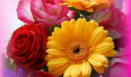 Bouquet-of-roses-and-gerberas-for-Cinzia - flowers, roses, nature, nice, beauty, colors, flower, bouquet