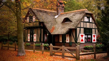 Beautiful House in the Fall - cottage, autumn, trees, park, foliage, fall, forest, pretty, woods, cozy, beautiful, leaves, house