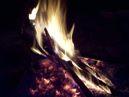 Fire - burn, photography, photo, tree, dark, nature, fire, flames, bulgaria