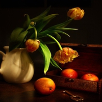 Still Life