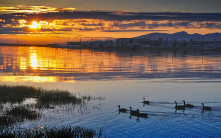 Beautiful Sunset - swan, sky, water, nature, clouds, beautiful, sunsets, rivers, birds