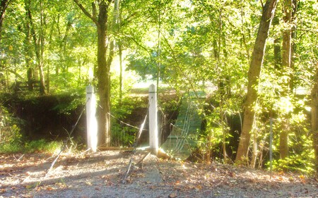 Bridge in the Woods - photograph, kentucky, bridge, woods