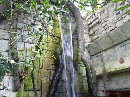 waterfall - water, rock, flowers, air