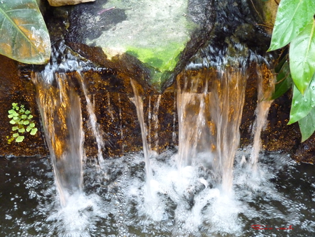 waterfall - flowers, earth, water, sun