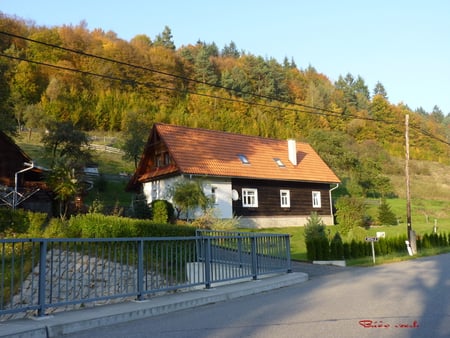 Home - air, flower, nature, water