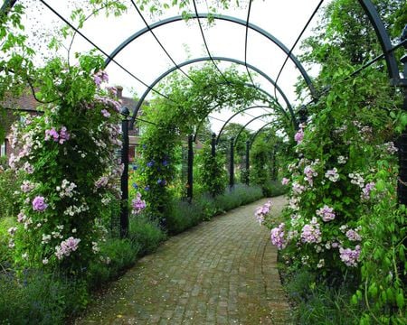 roses - nature, roses, arches, architecture, flowers, garden