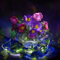 still life