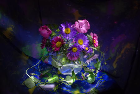 still life - nice, photography, water, bouquet, still life, vase, purple, cool, blue, beautiful, flowers, photo, flower, elegantly, harmony