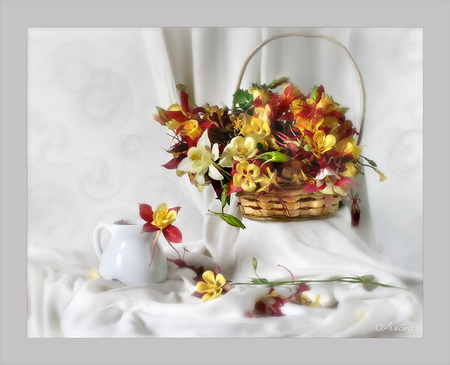 still life - nice, elegance, photography, bouquet, basket, gentle, still life, white, cool, beautiful, colors, flowers, photo, flower, harmony