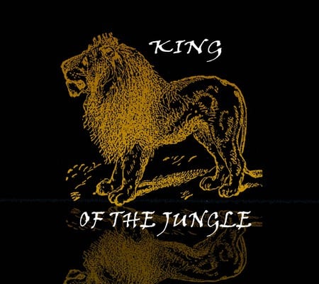 King O f The Jungle - jungle, lions, king, animals