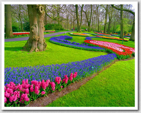 Ribbons of color - flowers, trees, park, color, green, grass