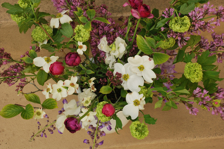 spring flowers - beautiful, flowers, still life, vase, spring