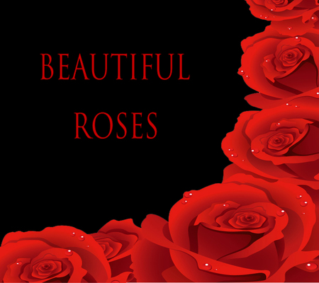 Beautiful Roses - roses, romance, love, red