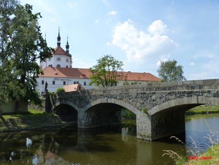 bridge - bird, trees, water, air, road, earth, forest, parks, building, bridge