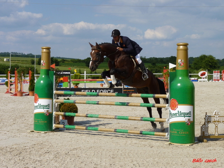 horse - barriers, plants, jump, sand, horse, sun, sky