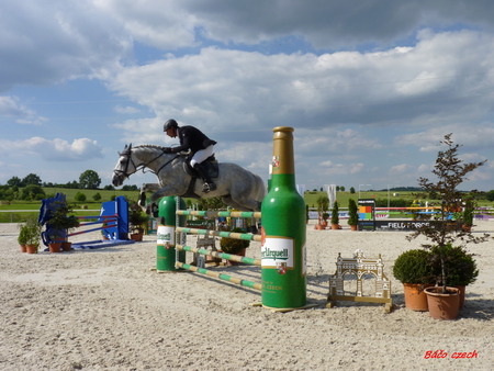 horse - sky, horse, sun, sand, barriers, plants, jump