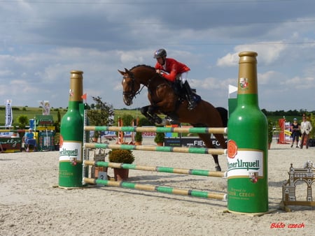 horse - sky, horse, sun, sand, barriers, plants, jump