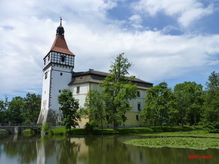 castle - building, trees, air, parks, water, road, bird, forest, castle, bridge, earth