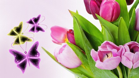 Pink Tulips - butterfly, pink, tulips, summer, flowers, firefox persona, spring