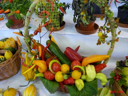 still life - pepper, pumpkin, exhibition, cart, corn, still life, decoration, fruit