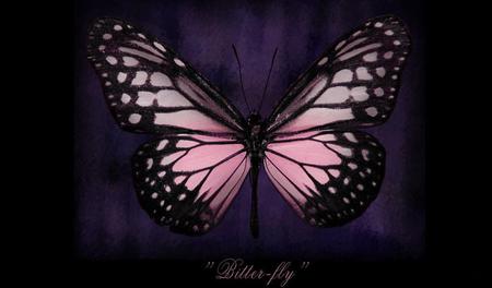 Pink-Butterfly - beauty, animals, pink, butterflies