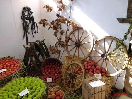 exhibition - exhibition, decorations, vegetables, still life, fruit